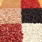 Mercado interno de algodão segue com poucos negócios e indústria comprando pontualmente