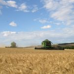 Produtores Seguram Vendas e Preços da Soja Mantêm Estabilidade no Brasil