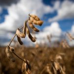 Polícia Civil prende homem condenado a mais de nove anos por estupro de vulnerável