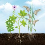 Polícia Civil cumpre 21 mandados com foco na desarticulação de célula de facção criminosa no interior de MT