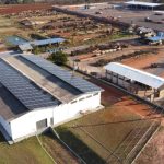 Silagem de trigo forrageiro impulsiona produtividade e reduz custos na pecuária do Vale do Jequitinhonha