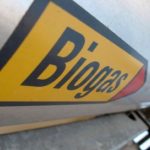 Exportações de soja devem alcançar 3,37 milhões de toneladas em dezembro, aponta Safras & Mercado