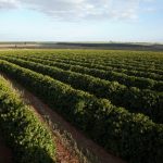 Polícia Militar está com inscrições abertas para o 10º Curso de Operações Rotam