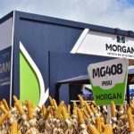 De Heus reforça presença na pecuária do Norte com novo gestor regional e tecnologias de nutrição animal avançadas