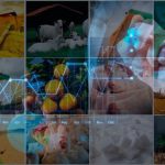 Patrulha Rural impede 62ª invasão de terra na zona rural de Mato Grosso