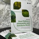 Plantio do milho verão avança, mas alta incidência de doenças exige manejo preventivo