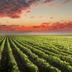 Polícia Civil cumpre mandados contra investigados por homicídio de policial penal em Várzea Grande