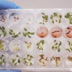 Polícia Civil promove mutirão de produtividade e conclui 56 inquéritos na Delegacia de Jaciara