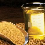 Mercado do trigo mantém pressão de baixa no Brasil, apesar da valorização em Chicago