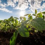 Câmara aprova LOA 2026 com previsão de orçamento de R$ 2,8 bilhões