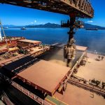 Exportações de ovos do Brasil crescem 36,8% em 2025, impulsionadas por México e Japão