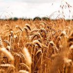 Preço do diesel S-10 sobe 0,16% em dezembro, enquanto diesel comum registra leve queda, aponta Edenred Ticket Log