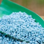 Agronegócio inicia 2025 com aumento de recuperações judiciais e crédito mais restrito