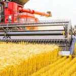 Ataques cibernéticos no agronegócio: a nova ameaça que vem da nuvem