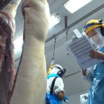 Companhia Raio prende homem com pistola e 10 munições em Pontes e Lacerda