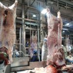 Baixa umidade reduz crescimento das pastagens e preocupa pecuaristas no Rio Grande do Sul