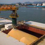 Exportações de soja disparam em novembro e impulsionam o agronegócio