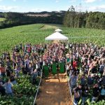 Farinhas de amoreira e ora-pro-nóbis melhoram saúde, imunidade e sustentabilidade na piscicultura