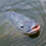 Agronegócio forte garante avanço do PIB no terceiro trimestre de 25