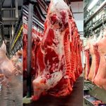 Câmara aprova avanço em projeto que reconhece arrendamento rural como atividade agrícola para fins de tributação