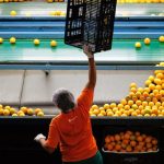 Operação integrada cumpre bloqueio de R$ 33 milhões de empresa investigada por fraude fiscal