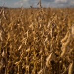 Polícia Civil prende homem suspeito de agredir e ameaçar matar a esposa na frente da filha