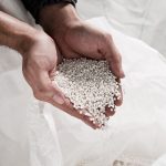 Estado adia para 2031 a rastreabilidade de bovinos e bubalinos