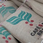 À espera dos leilões da Conab, mercado de trigo segue com poucas negociações no Brasil