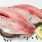 Manejo Integrado de Pragas transforma controle de insetos na soja e impulsiona sustentabilidade no campo