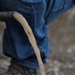 Polícia Civil intensifica ações de combate à violência doméstica e familiar em 2025