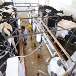 Uso de tecnologia e manejo sustentável transforma fazenda em referência na recuperação de pastagens