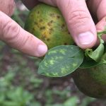 Cyklo abre inscrições para programa de aceleração de startups 2026