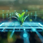 Doença de Gumboro: ameaça silenciosa que afeta imunidade, produtividade e rentabilidade das aves