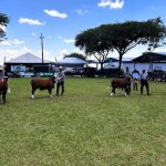 Rotam prende homem foragido da Justiça por tráfico de drogas em Cuiabá