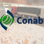 Entrada de fertilizantes pelo Arco Norte quase dobra em quatro anos e reforça papel estratégico na logística agrícola brasileira