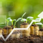 Conab lança sistema que reduz prazo para obtenção do Código do Armazém de 3 meses para 15 dias