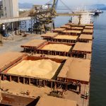 Boi gordo fecha 2025 com exportações recordes, mas entra em 2026 sob cautela