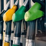 Gado no Verão: Como Manter o Ganho de Peso e Reduzir Custos na Estação Mais Quente