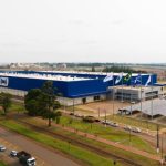 Pragas ameaçam pastagens e desempenho da pecuária no Brasil: cigarrinha e carrapato exigem manejo integrado