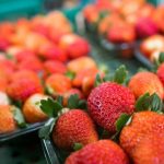 Preços do Etanol em SP Batem Recorde na Safra 2025/26 com Oferta Restrita