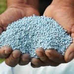 China ultrapassa Rússia e assume liderança nas vendas de fertilizantes ao Brasil, aponta CNA