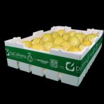 PremieRpet recebe certificação internacional LEED Gold para fábrica de alimentos úmidos em SP