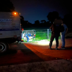 Governo de São Paulo libera R$ 3 milhões em crédito para modernizar cultivo de morango