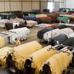 Estado adia para 2031 a rastreabilidade de bovinos e bubalinos