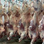 Setor de carnes apoia criação do programa Coopera Agro SC e destaca avanço no acesso ao crédito rural