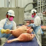 Programa “Adjuvantes da Pulverização” certifica mais de 100 produtos em 2025 e fortalece segurança no campo