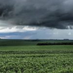 Exportações mundiais de café somam 138 milhões de sacas entre outubro de 2024 e setembro de 2025