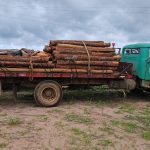 Polícia Civil cumpre mandado de busca e apreensão em investigação de disparo de arma de fogo em Cocalinho