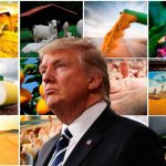 Exportações brasileiras de carne de frango somam 434,9 mil toneladas em novembro; carne suína mantém alta no acumulado do ano