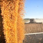 Valor da produção do agro sobe 18% e chega a R$ 30,1 bilhões em 2025